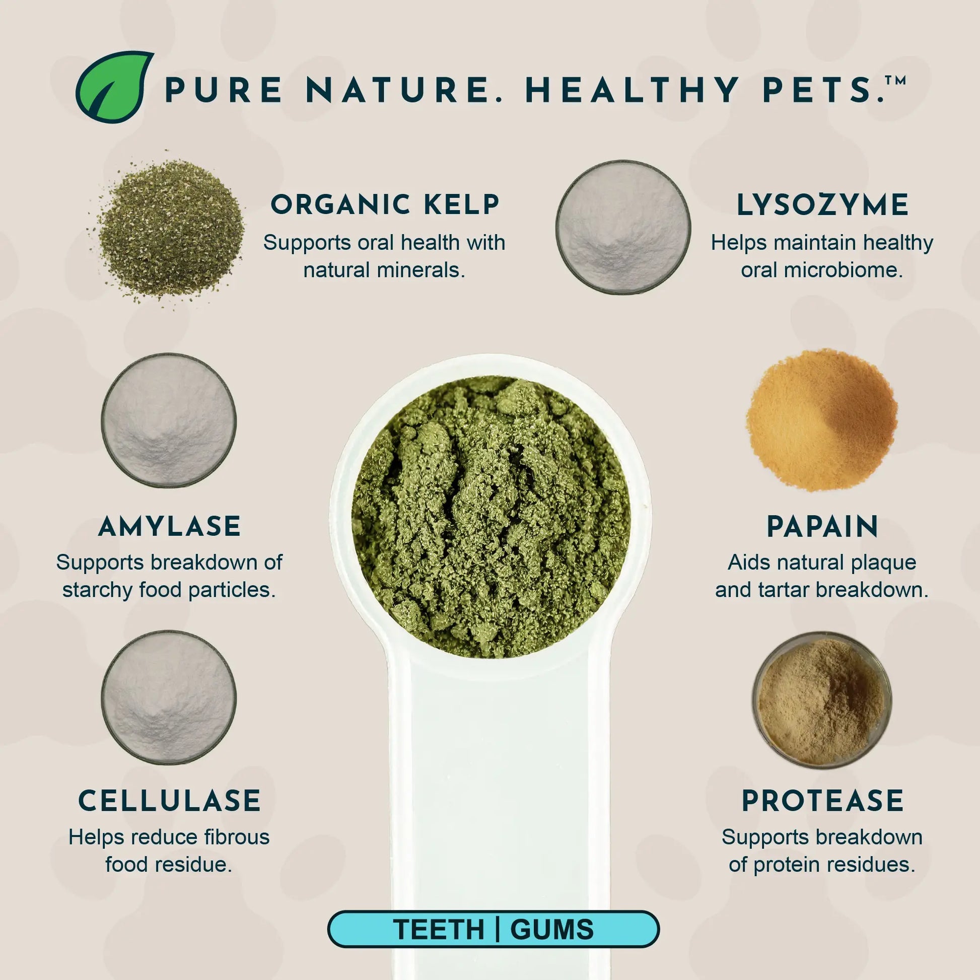 Sea-Dent Anti-Plaque Dental Powder for Dogs and Cats - Organic Kelp and Plant Enzymes for Oral Health Support