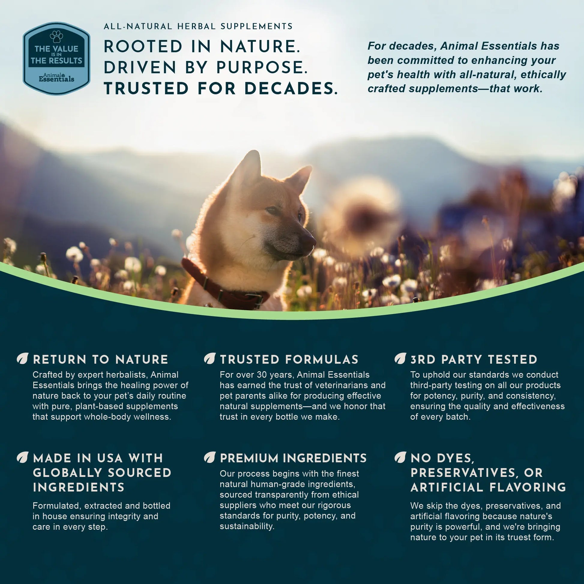 Sea-Dent Anti-Plaque Dental Powder for Dogs and Cats - Organic Kelp and Plant Enzymes for Oral Health Support