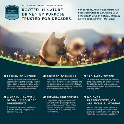 Sea-Dent Anti-Plaque Dental Powder for Dogs and Cats - Organic Kelp and Plant Enzymes for Oral Health Support