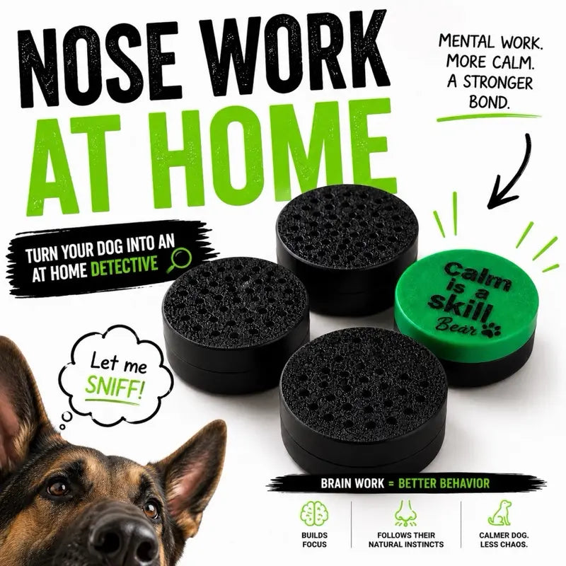 Dog Scent Work Training Pods | Calm Is a Skill Nose Work Training Kit