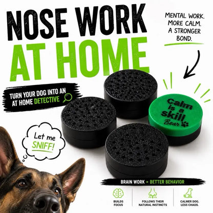 Dog Scent Work Training Pods | Calm Is a Skill Nose Work Training Kit