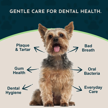 Sea-Dent Anti-Plaque Dental Powder for Dogs and Cats - Organic Kelp and Plant Enzymes for Oral Health Support