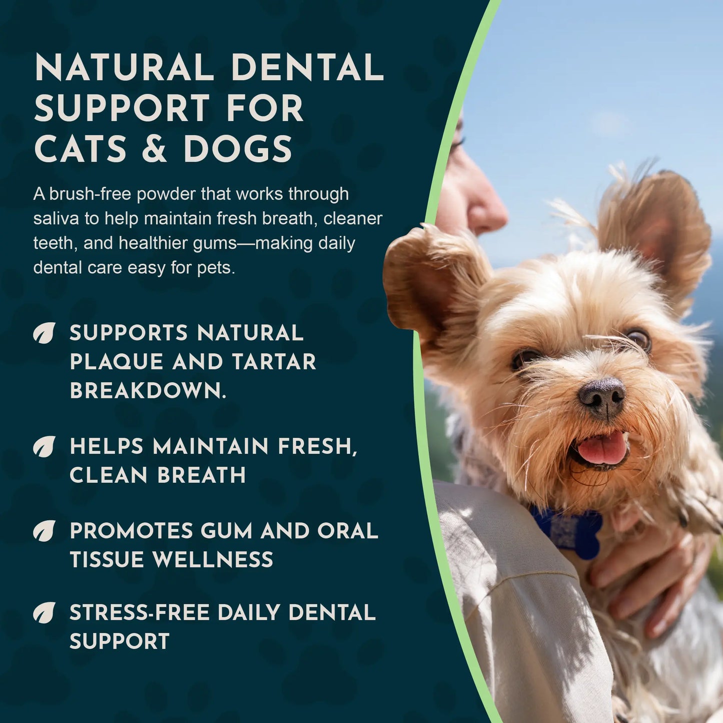 Sea-Dent Anti-Plaque Dental Powder for Dogs and Cats - Organic Kelp and Plant Enzymes for Oral Health Support
