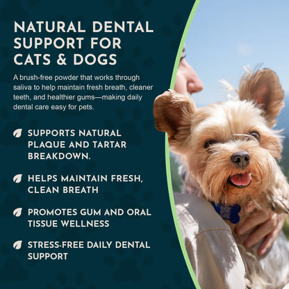 Sea-Dent Anti-Plaque Dental Powder for Dogs and Cats - Organic Kelp and Plant Enzymes for Oral Health Support
